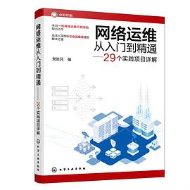 网络运维从入门到精通——29个实践项目详解