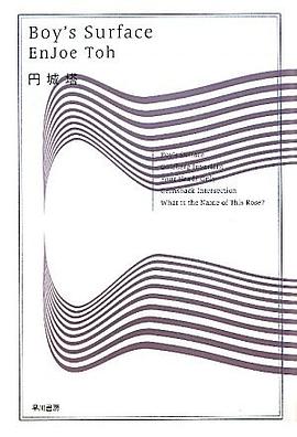Boy’s Surface