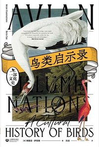 鸟类启示录