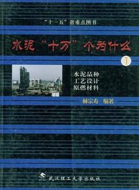 水泥十万个为什么1