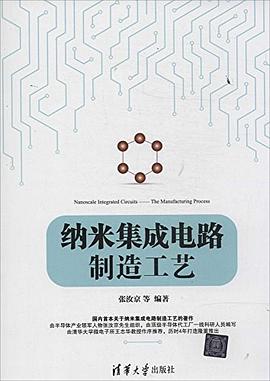 纳米集成电路制造工艺