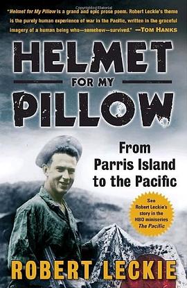 Helmet for My Pillow