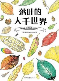 盛口满的手绘自然图鉴：落叶的大千世界
