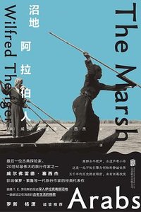 沼地阿拉伯人