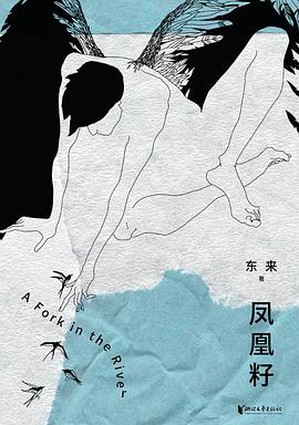 凤凰籽
