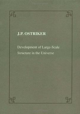 Development of Large Scale Structure in the Universe (Lezione Fermiane)