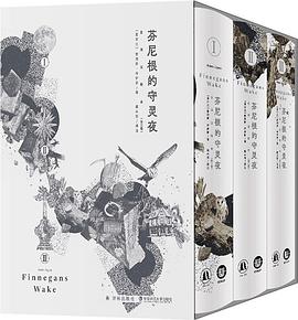 芬尼根的守灵夜（全译注释本）