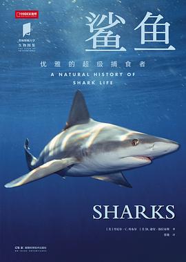 鲨鱼