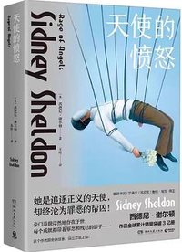 天使的愤怒 (湖南文艺出版社 2024)