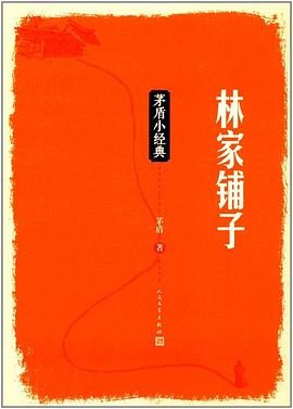 林家铺子