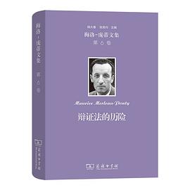 辩证法的历险