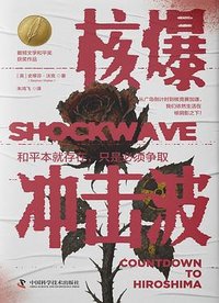 核爆冲击波 (中国科学技术出版社 2025)