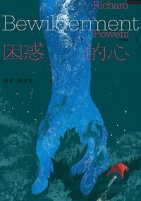 困惑的心 (時報文化)