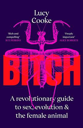 Bitch
