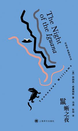 鬣蜥之夜