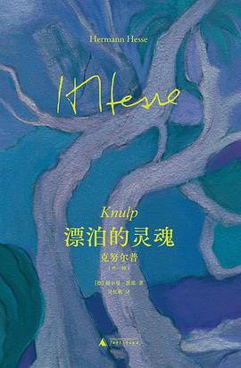 漂泊的灵魂