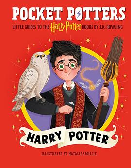 Pocket Potters: Harry Potter