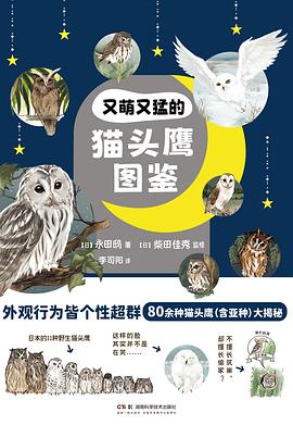 又萌又猛的猫头鹰图鉴