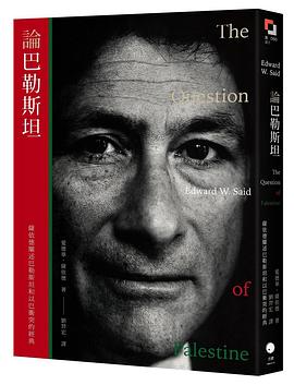 論巴勒斯坦