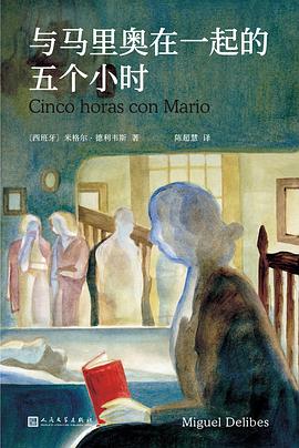 与马里奥在一起的五个小时