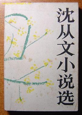 沈从文小说选(全二集)