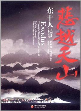 悲越天山