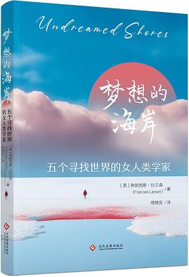 梦想的海岸