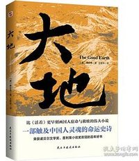 大地 (民主与建设出版社 2024)