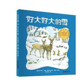 好大好大的雪