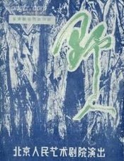 野人