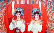 花为媒
