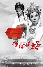 狸猫换太子