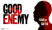 Good Enemy