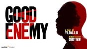 Good Enemy