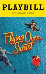 Flying over sunset
