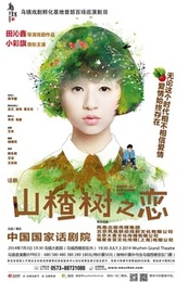 山楂树之恋