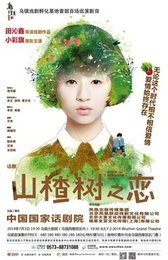 山楂树之恋
