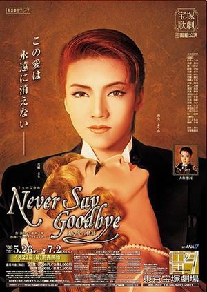 NEVER SAY GOODBYE