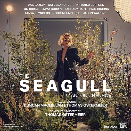 The Seagull