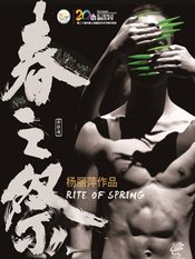 春之祭（杨丽萍版） 2018首演版