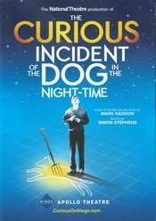 The Curious Incident of the Dog in the Night-time 2014Broadway版