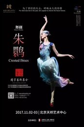 朱鹮 美国首演版