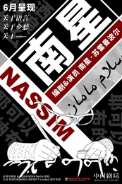 Nassim 版本3