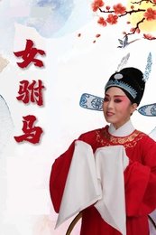 女驸马 2023年马鞍山四季戏曲剧院在石家庄大剧院演出版