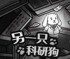 另一只科研狗