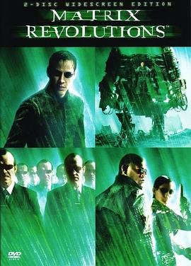 The Matrix Revolutions Revisited