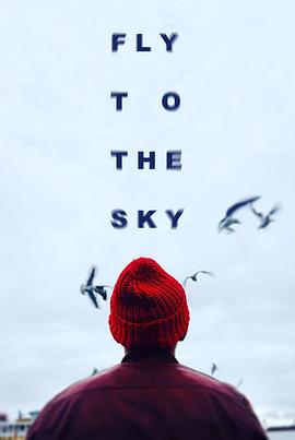 飞向天空