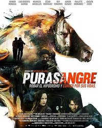 purasangre
