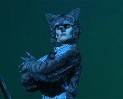 Peter and the Wolf