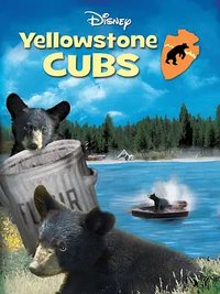 Yellowstone Cubs